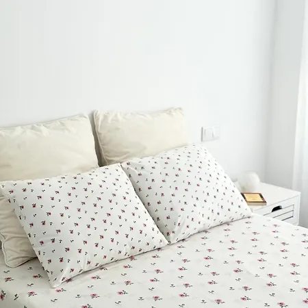 Galihost - Campo Mulatas