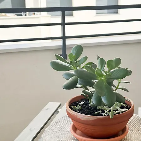 Galihost - Campo Mulatas Apartamento Vilagarcía de Arousa